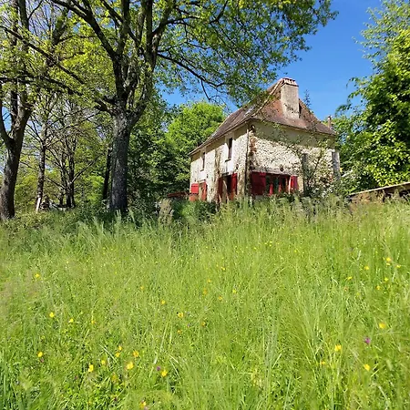Au Coeur De La Dordogne, Maison Pour 6, Piscine * Rouffignac Saint-Cernin